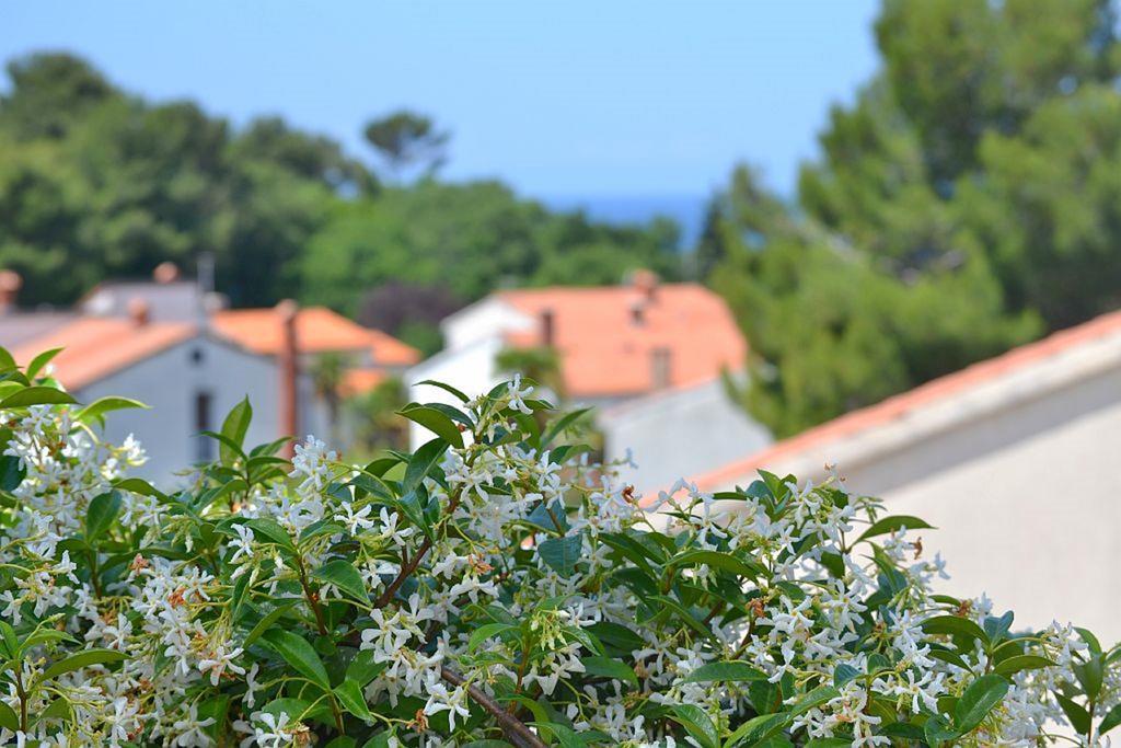 Apartments Zomzi Porec Bagian luar foto
